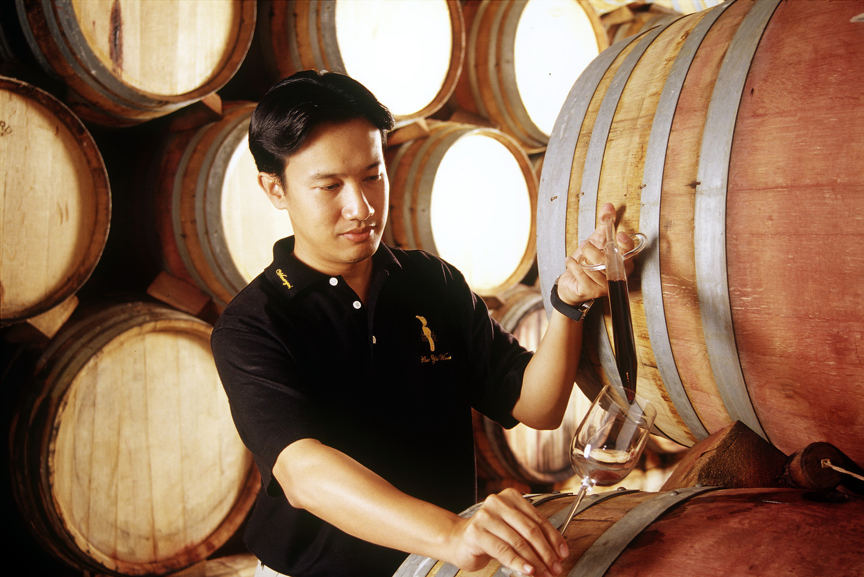 PBワイナリー　にて　ブドウ畑/ワイナリー　見学